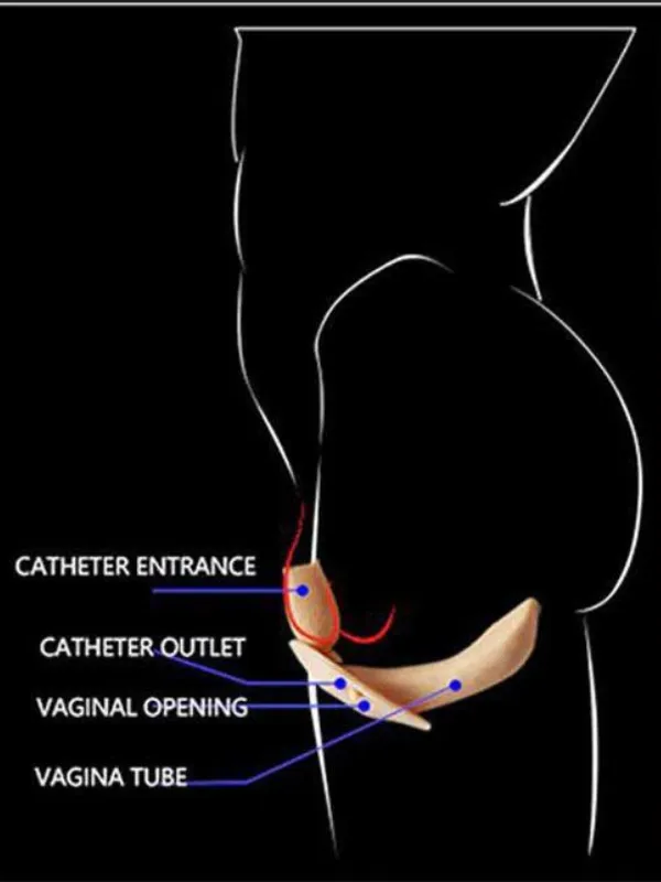 Be a Lady Silicone Vagina Panty